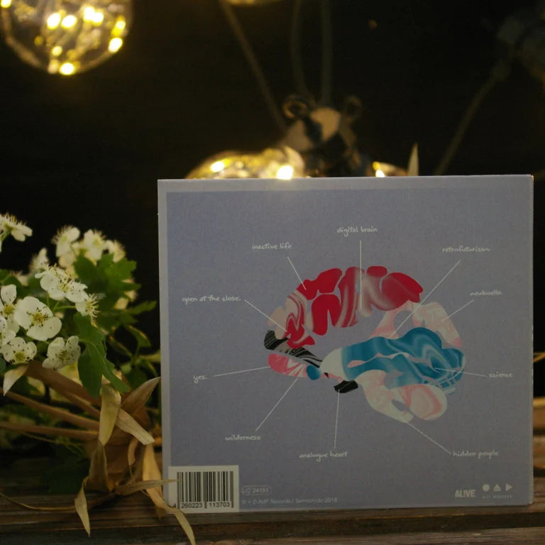 ZULU - analogue heart // digital brain - LP CD